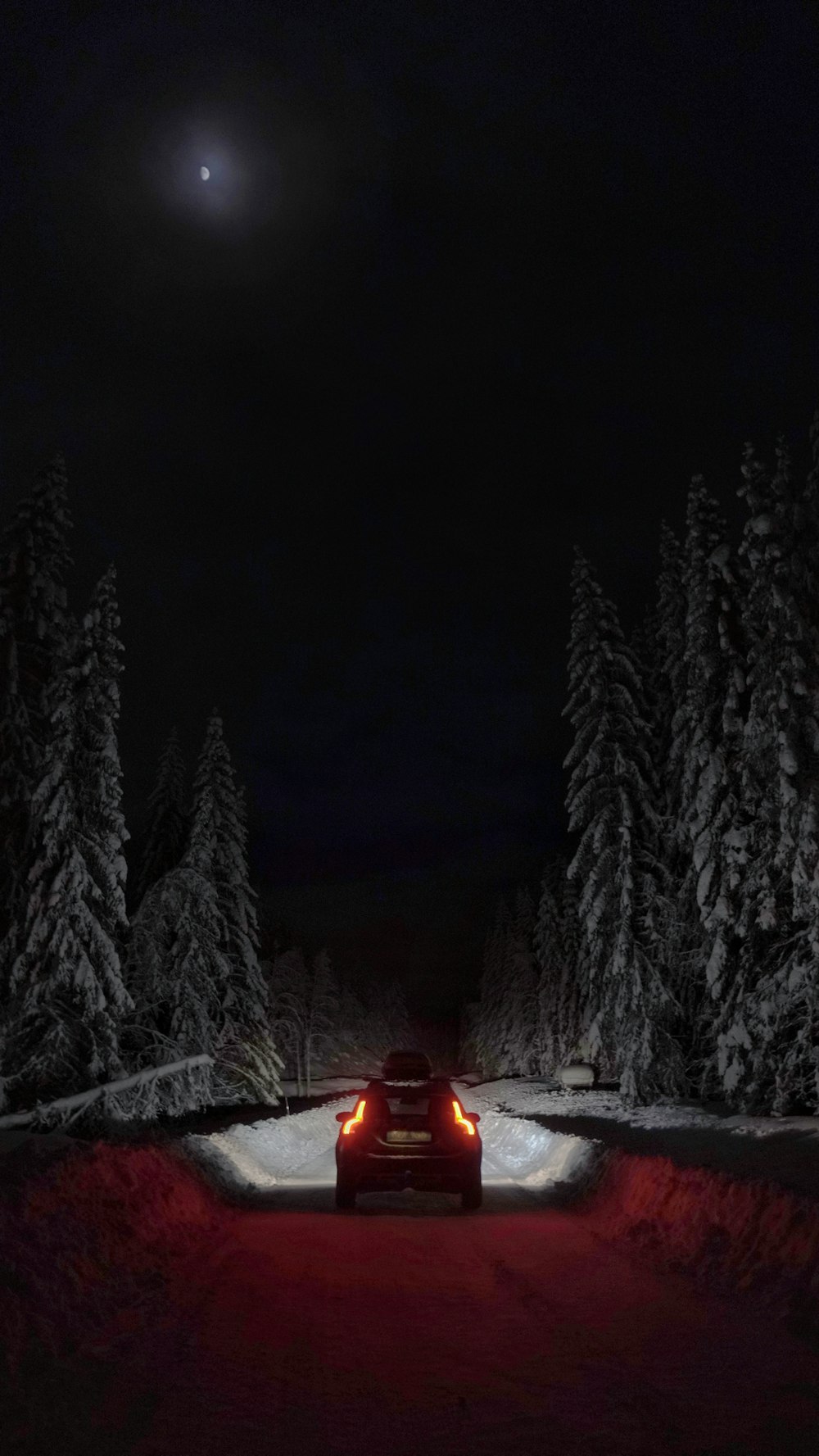 Person in roter Jacke, die nachts auf schneebedecktem Boden sitzt