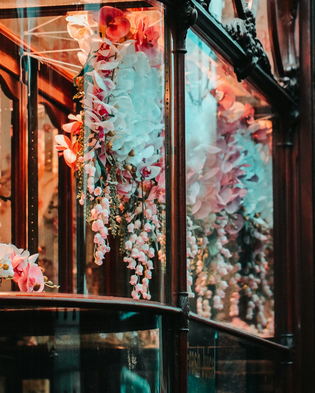 pink and white flowers on brown wooden framed glass window