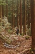 A person with a backpack is walking through a dense forest featuring tall, straight trees. The forest floor is covered with leaves, twigs, and rocks. Sunlight filters through the canopy, creating a serene atmosphere. A motivational quote, 'You can be still and grow at the same time,' is visible in scripted text at the bottom left.