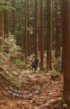 A person with a backpack is walking through a dense forest featuring tall, straight trees. The forest floor is covered with leaves, twigs, and rocks. Sunlight filters through the canopy, creating a serene atmosphere. A motivational quote, 'You can be still and grow at the same time,' is visible in scripted text at the bottom left.