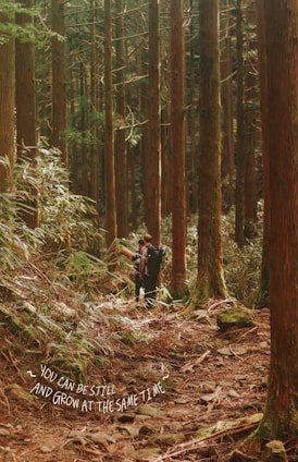 A person with a backpack is walking through a dense forest featuring tall, straight trees. The forest floor is covered with leaves, twigs, and rocks. Sunlight filters through the canopy, creating a serene atmosphere. A motivational quote, 'You can be still and grow at the same time,' is visible in scripted text at the bottom left.