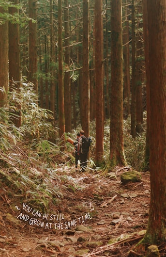 A person with a backpack is walking through a dense forest featuring tall, straight trees. The forest floor is covered with leaves, twigs, and rocks. Sunlight filters through the canopy, creating a serene atmosphere. A motivational quote, 'You can be still and grow at the same time,' is visible in scripted text at the bottom left.