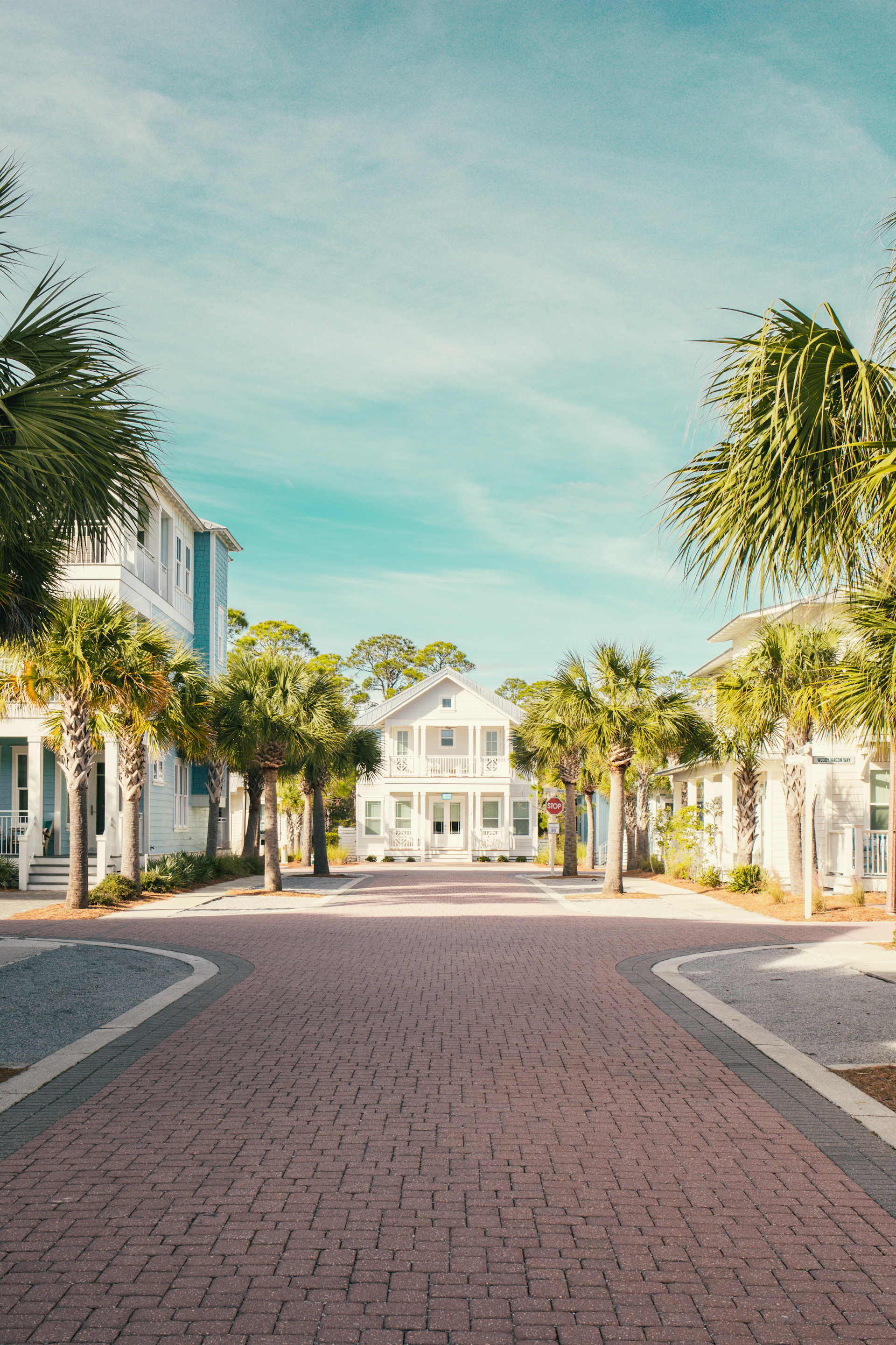 A tree-lined street showcasing charming homes with cozy front porches under a clear blue sky.