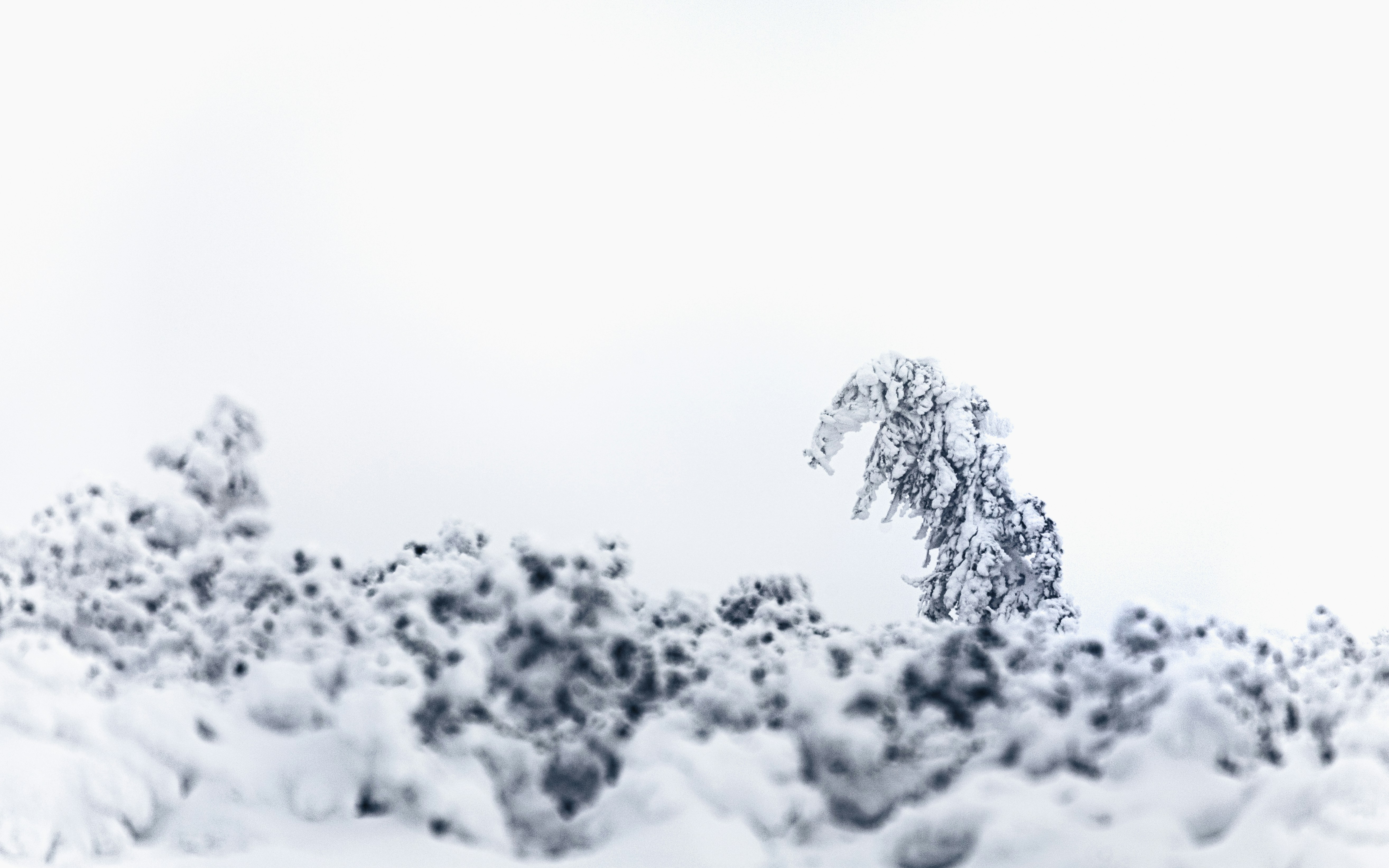 Photo by marekpiwnicki