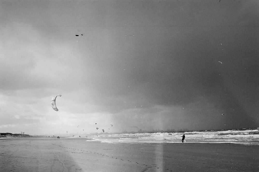 grayscale photo of bird flying over the beach
