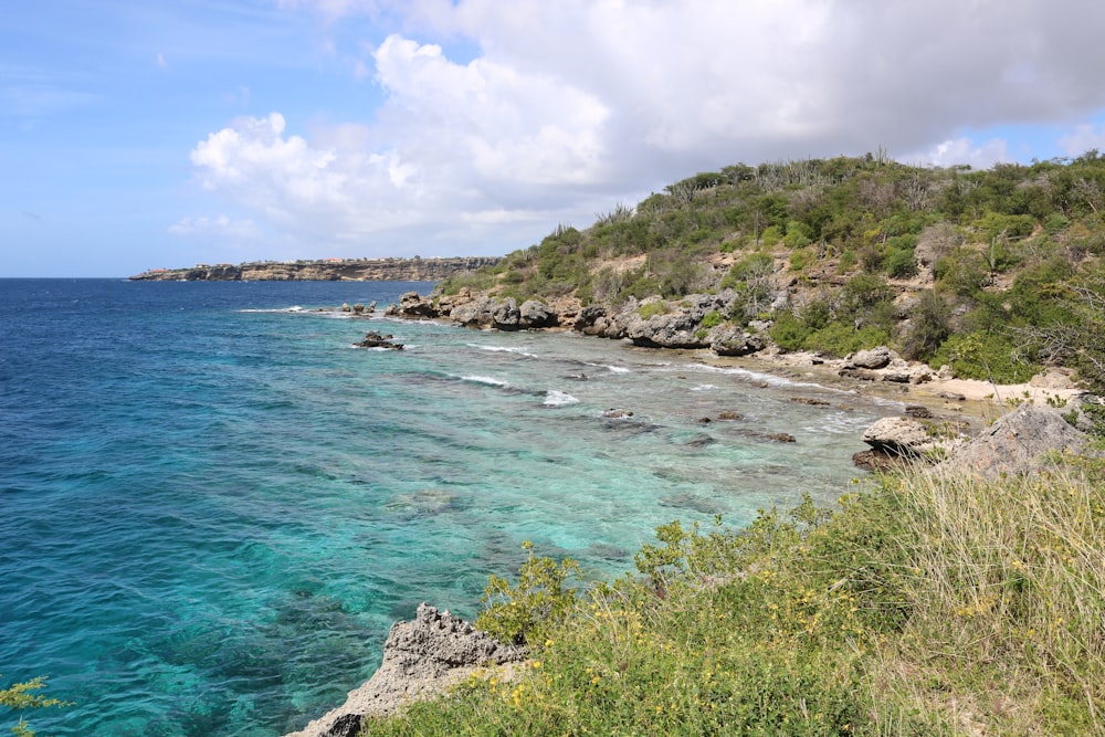 a body of water surrounded by a lush green hillside