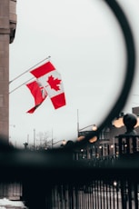 red and white flag on pole