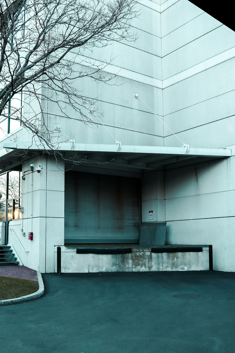 white concrete building near bare tree during daytime