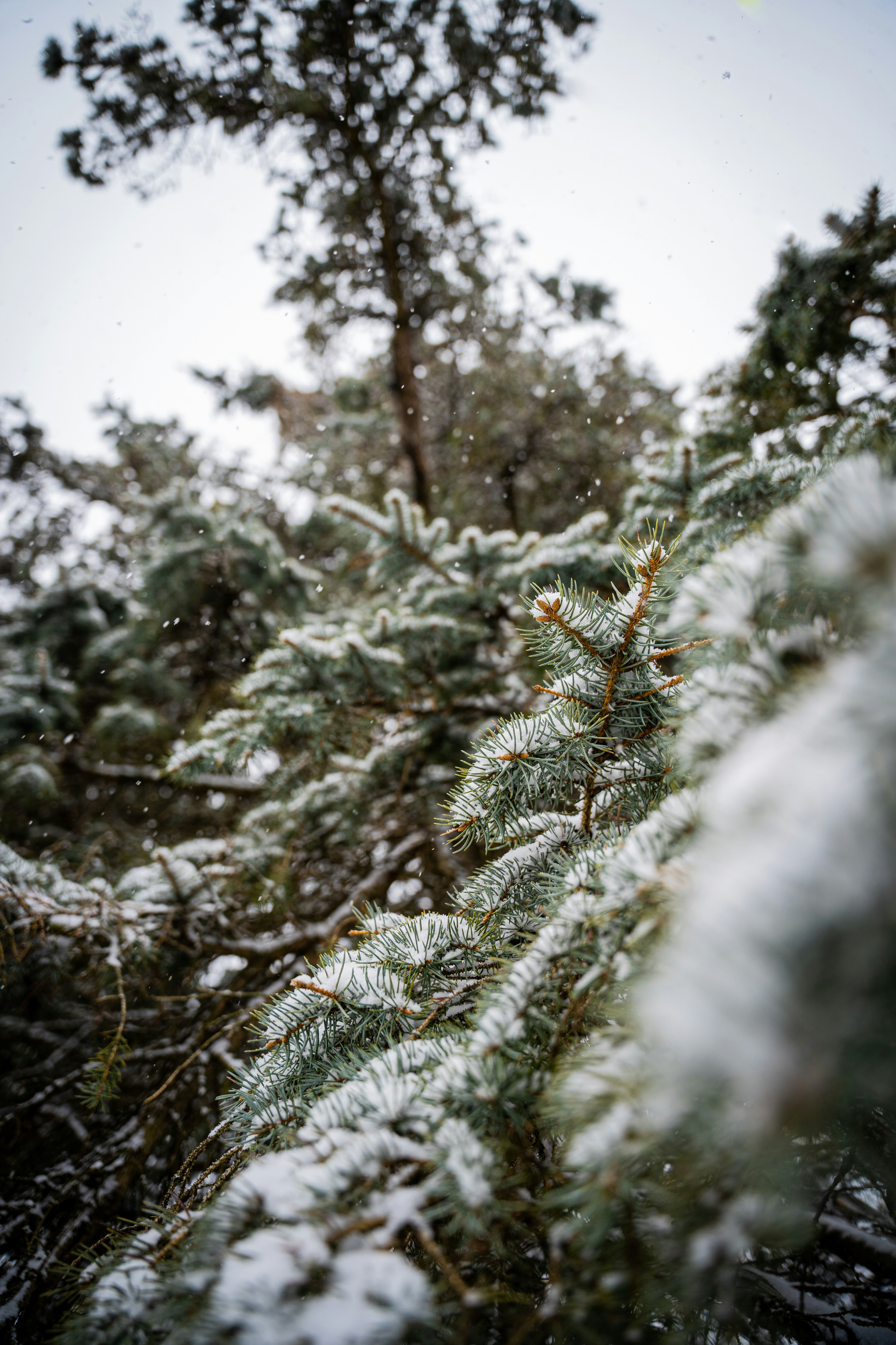 Photo by noah_ilbery