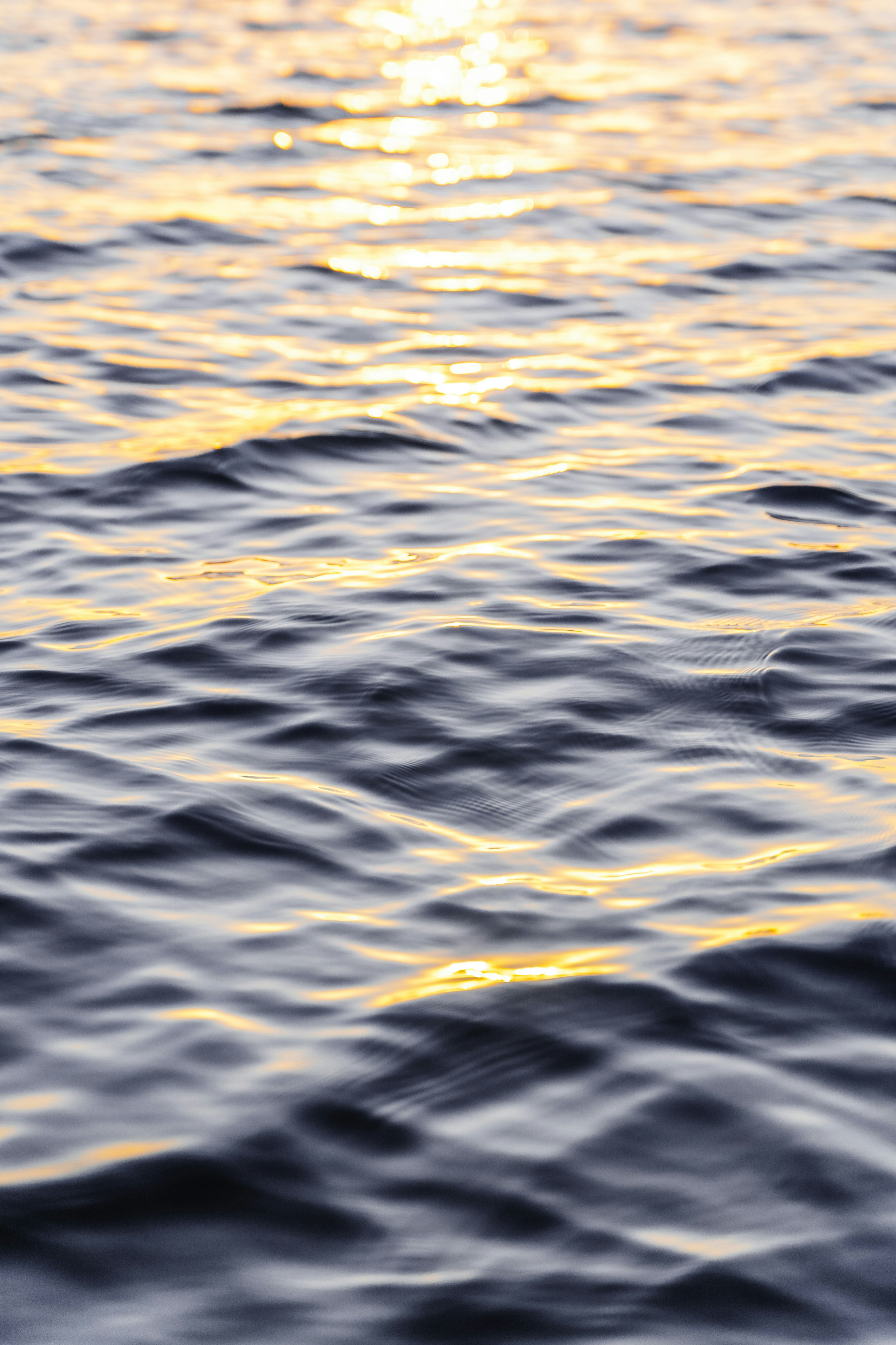 Photo by medicadetion