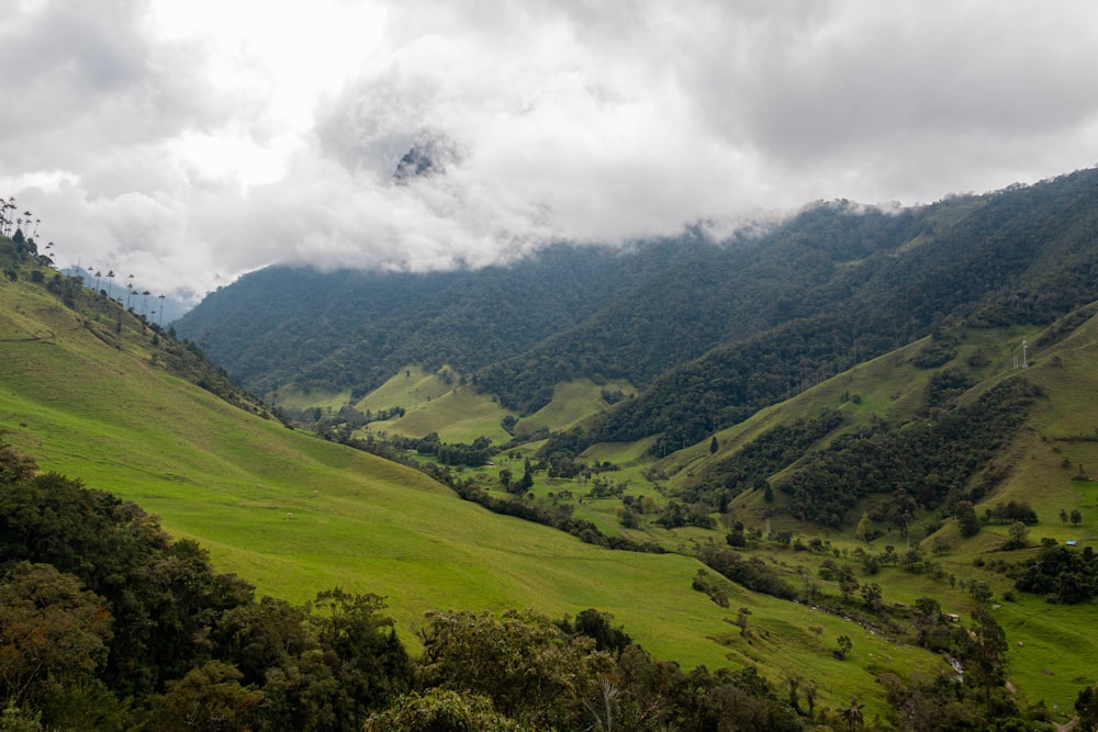 green grass field under white clouds during daytime