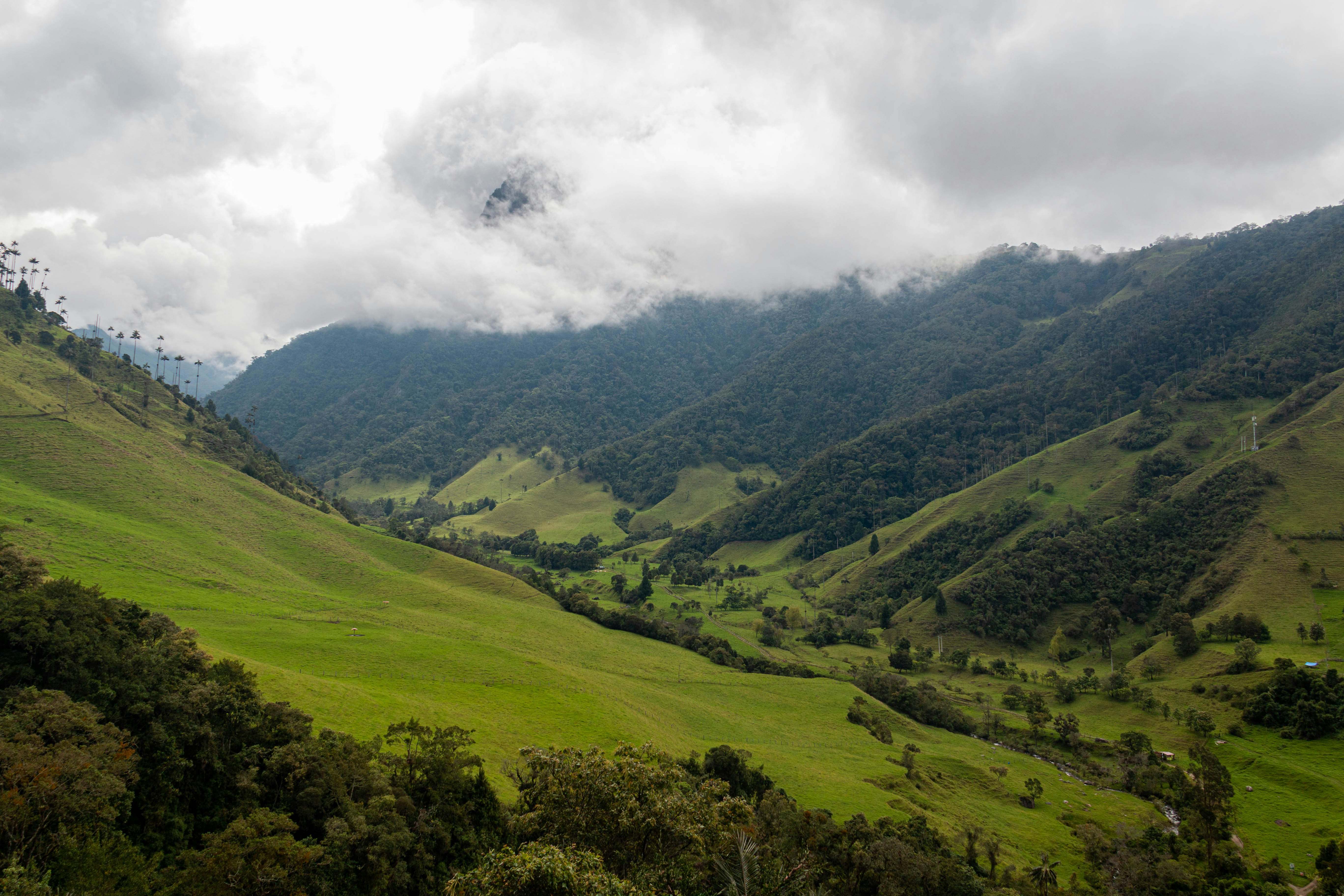 green grass field under white clouds during daytime