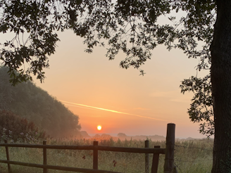 A serene farm landscape at sunrise with dew-covered grass and rustic wooden fences.