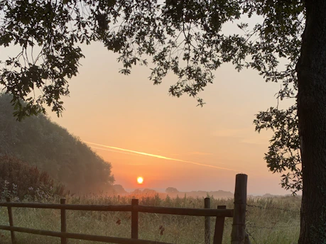 A serene farm landscape at sunrise with dew-covered crops and a rustic wooden fence.