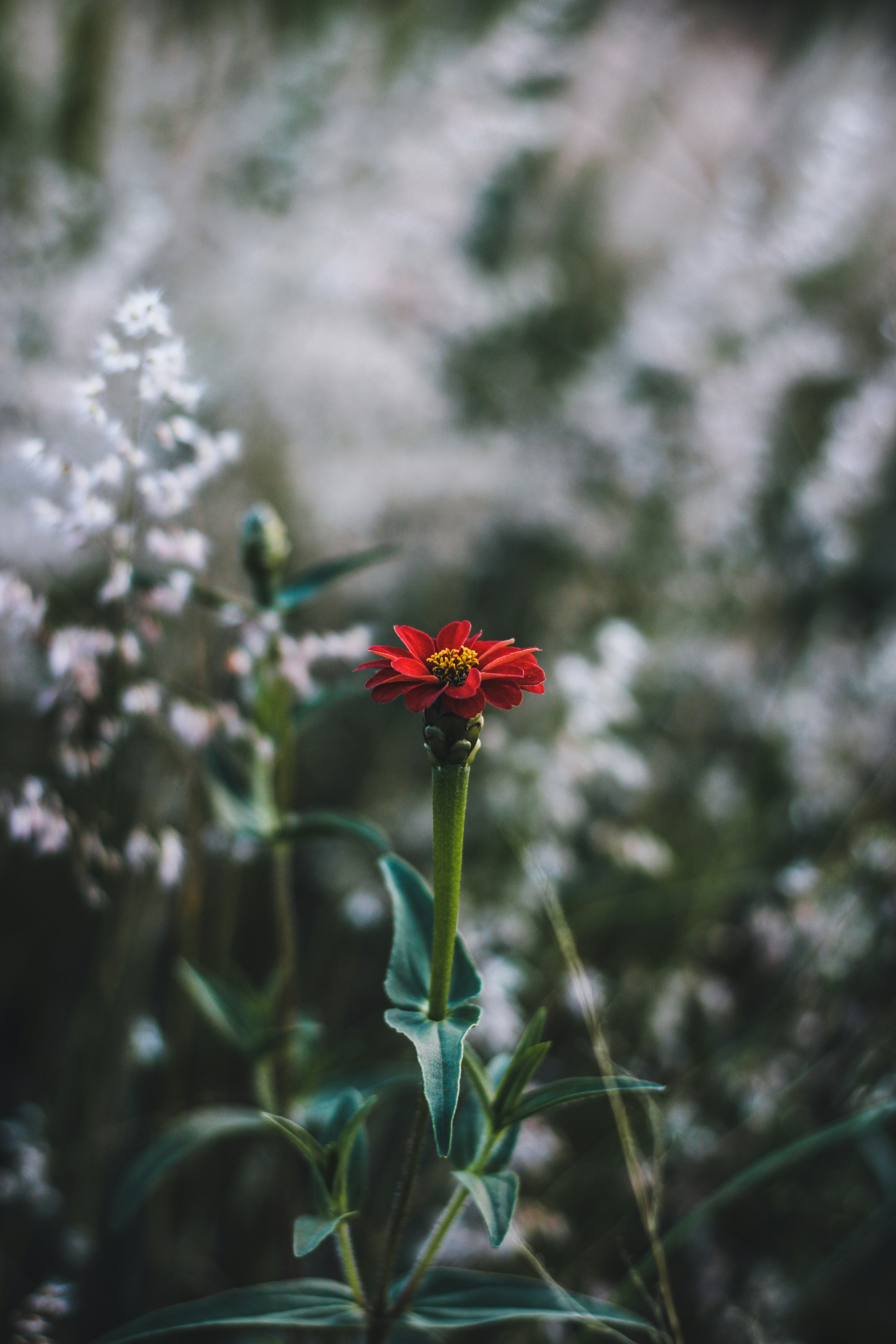 Photo by captured_hr