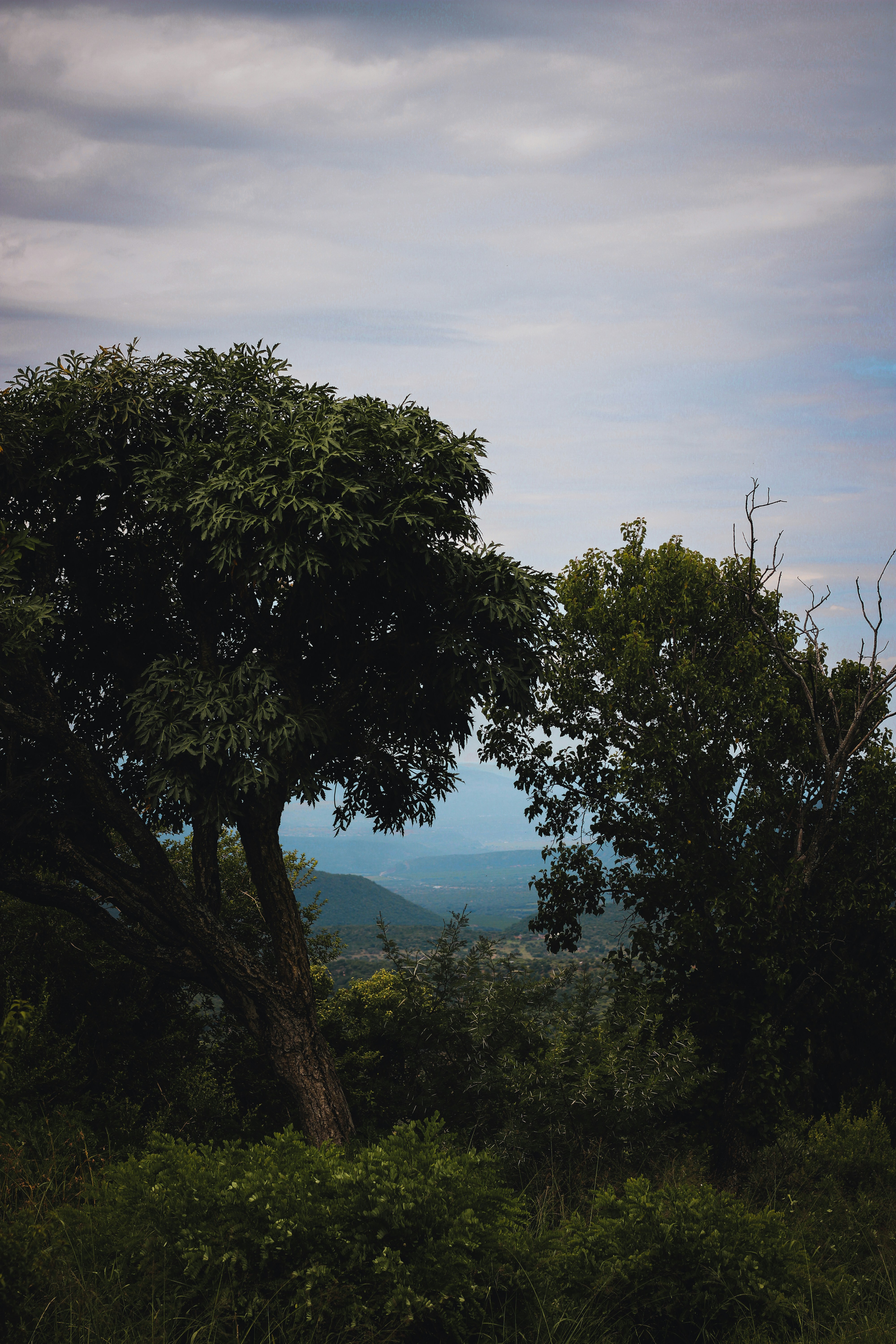 Photo by captured_hr