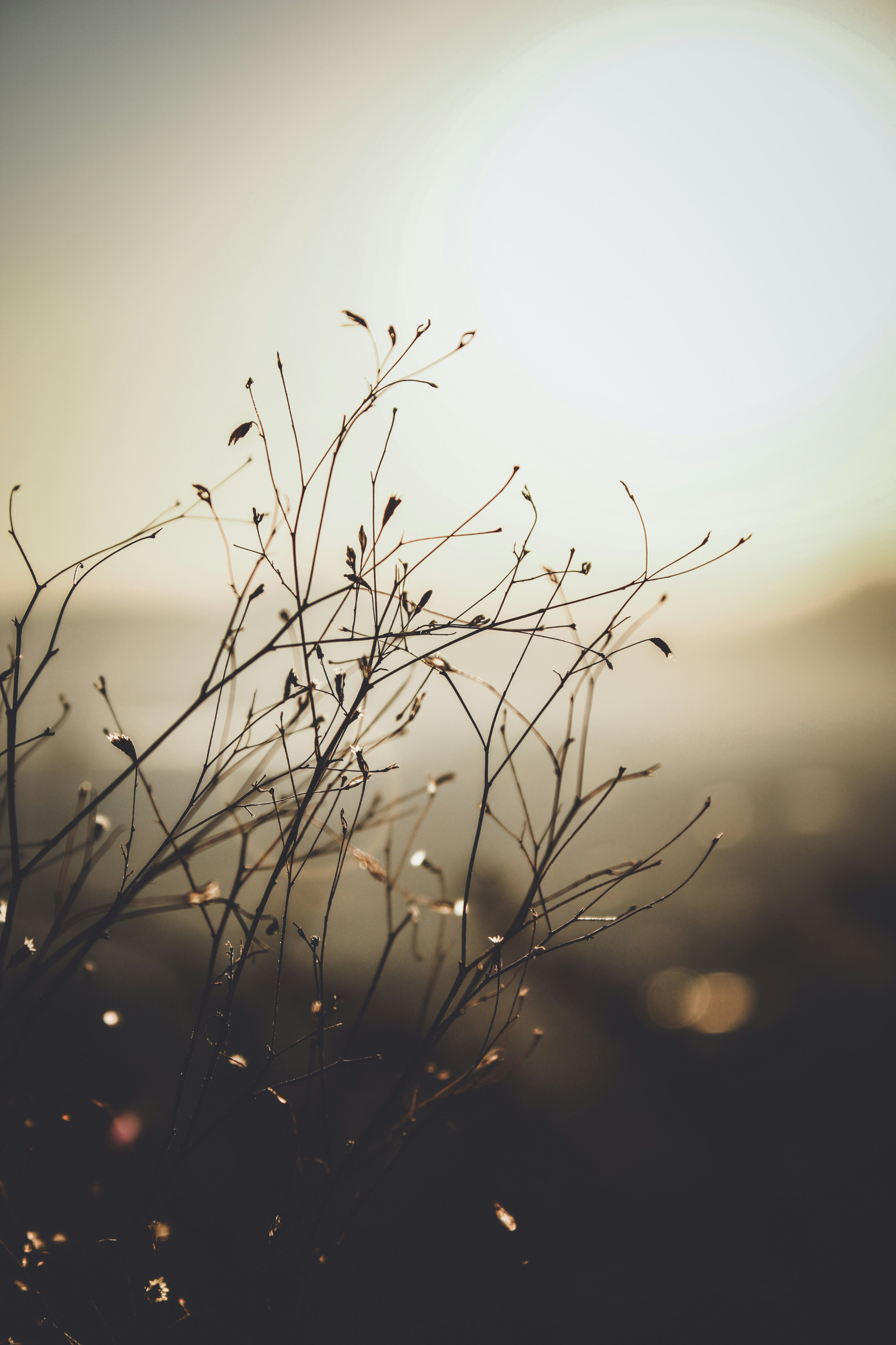 Photo by captured_hr