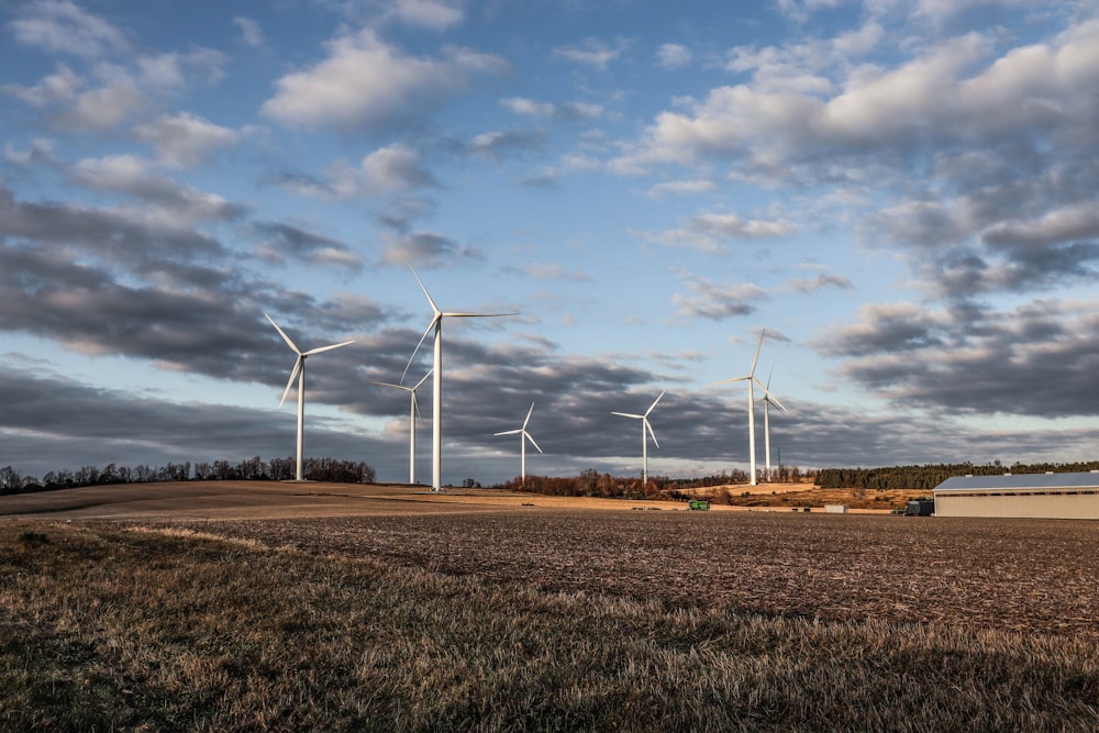 white wind turbines on brown grass field under white clouds and blue sky during daytime