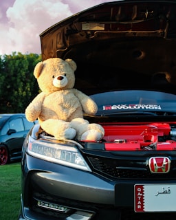 A large teddy bear is placed under the open hood of a car, positioned on the engine, with a blue-black vehicle body visible. A Qatar license plate is attached to the front of the car. Additional cars are visible in the background on a grassy area. The sky is partly cloudy with a mix of pink and light purple shades.