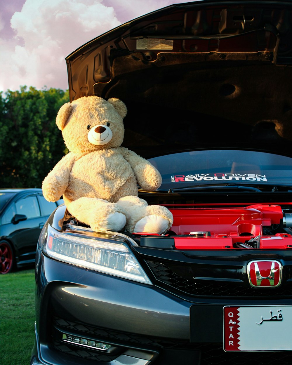 brown teddy bear on car