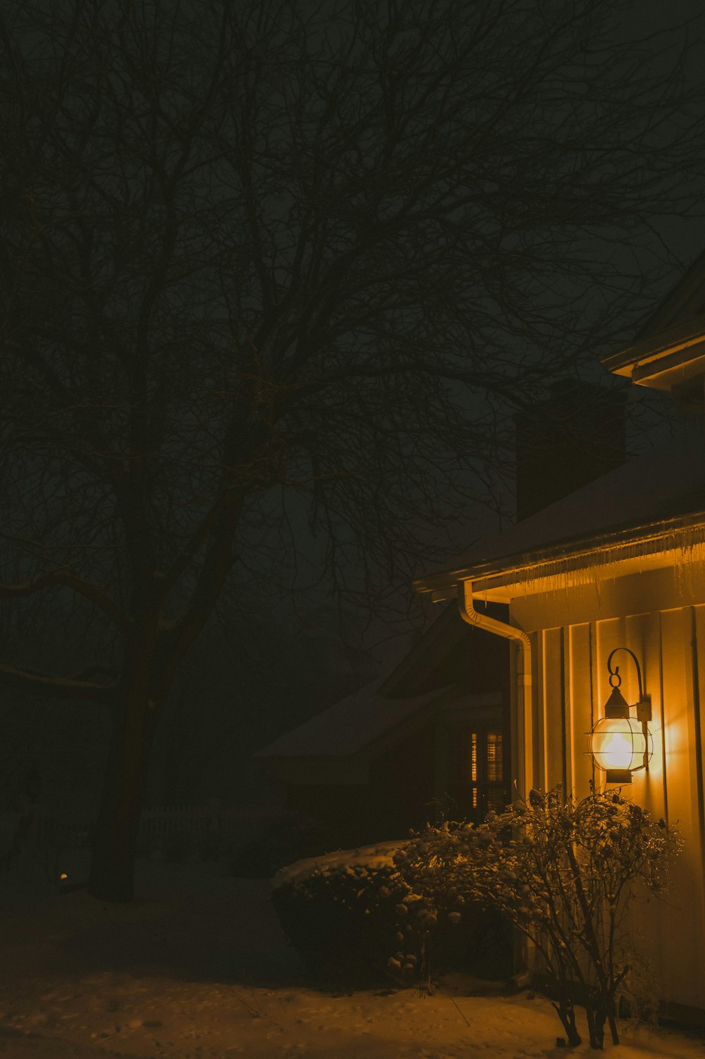 brown wooden house near trees during night time