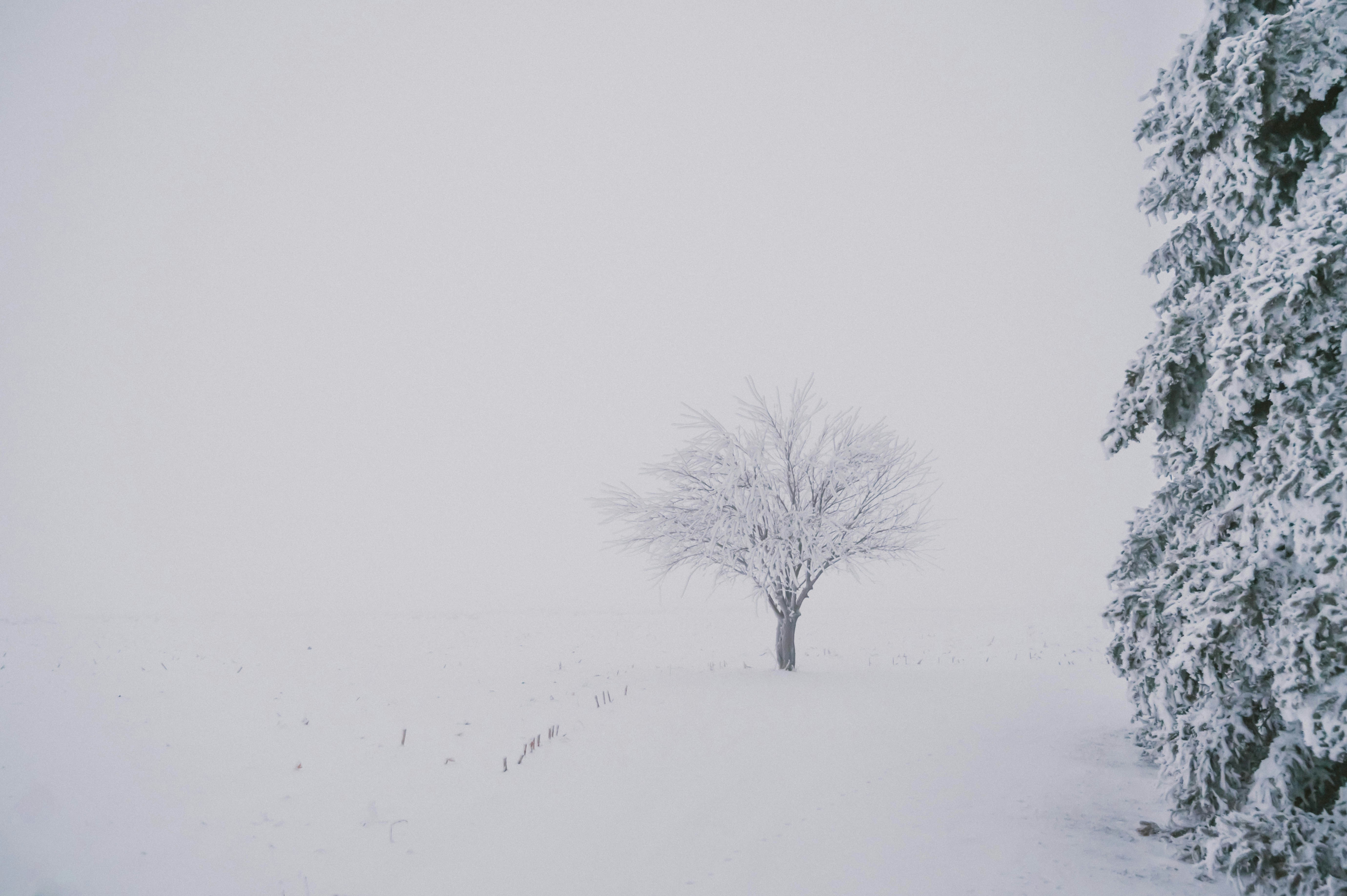 Photo by maddieleopardo