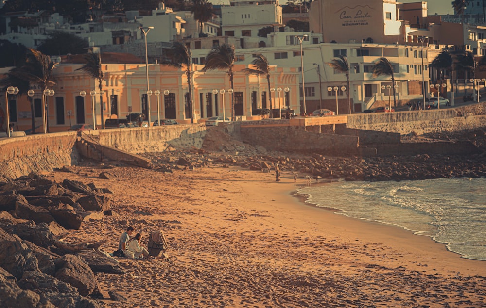 people on beach during daytime