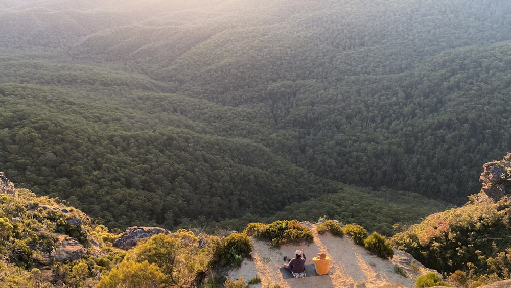 people on a hill with trees during daytime