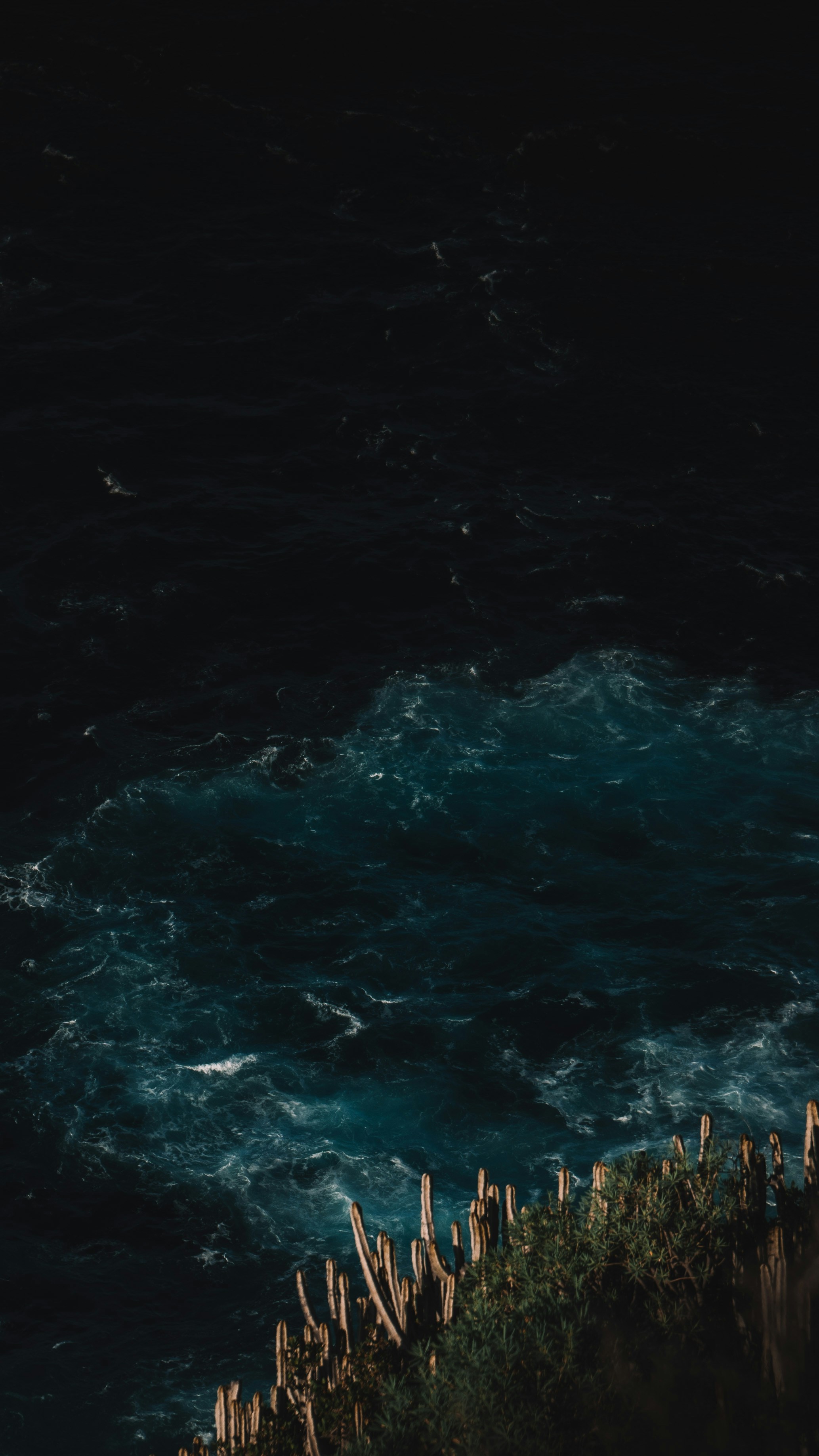 Photo by max_kuntscher