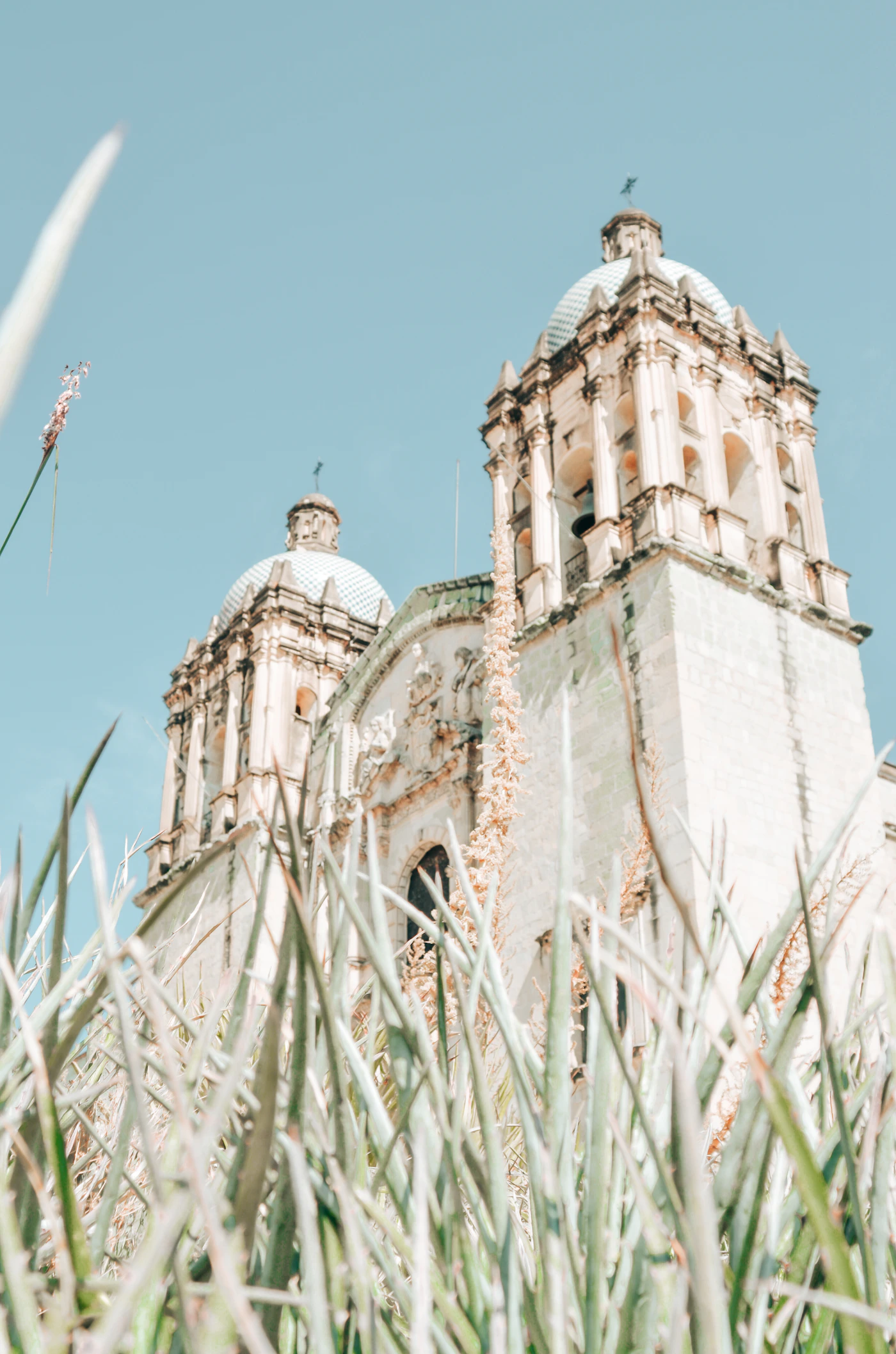 Santo Domingo church in Oaxaca Mexico photographed from below through dry agave plants with dramatic blue sky and clouds above the twin baroque towers