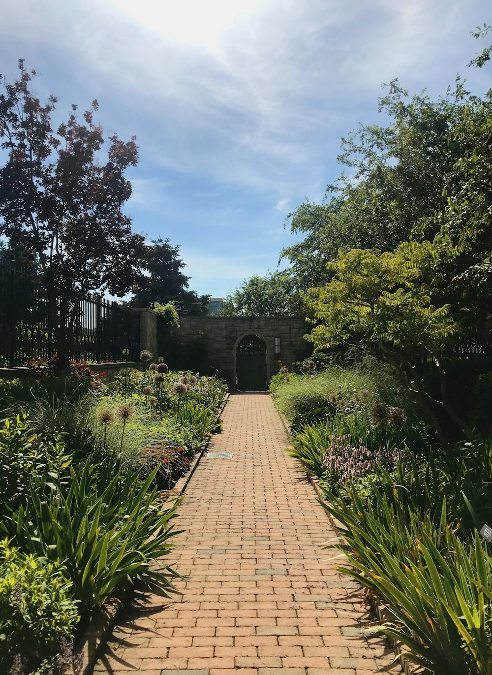 brown brick pathway between green plants and trees under blue sky during daytime