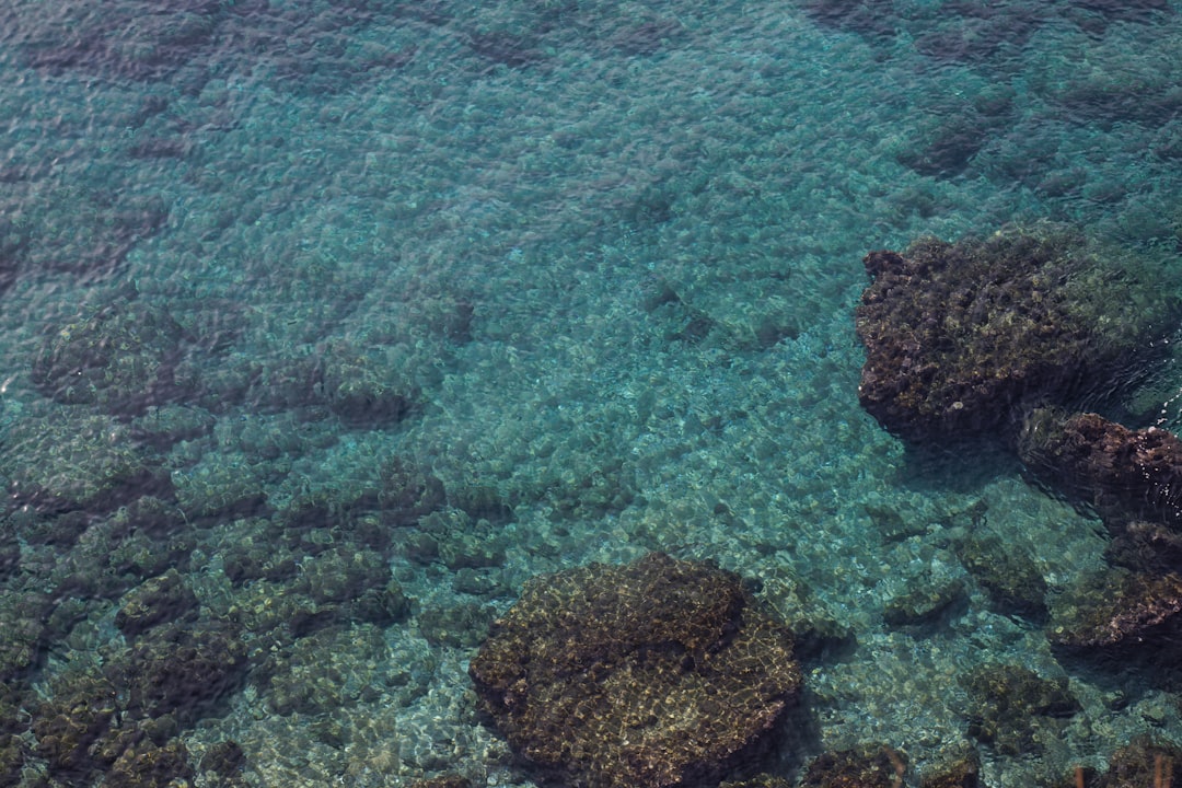 brown rocks on body of water during daytime