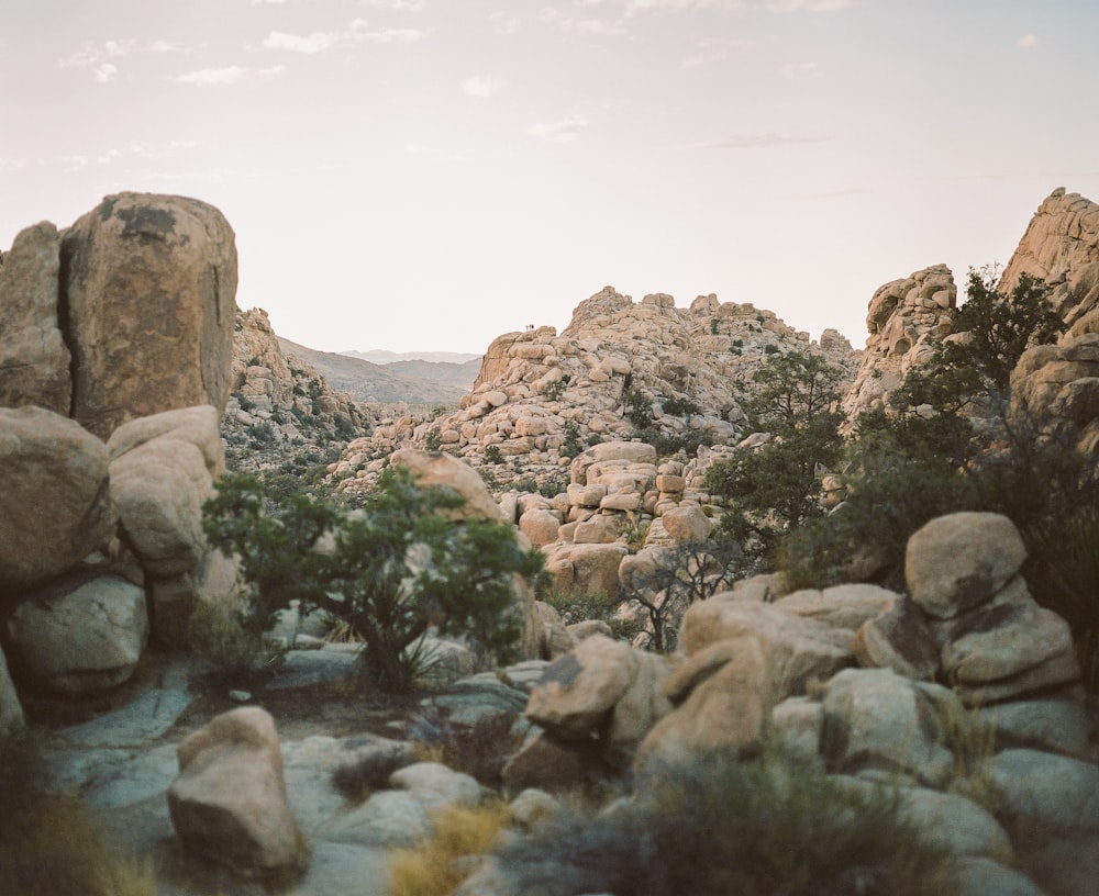 brown rocks on body of water during daytime