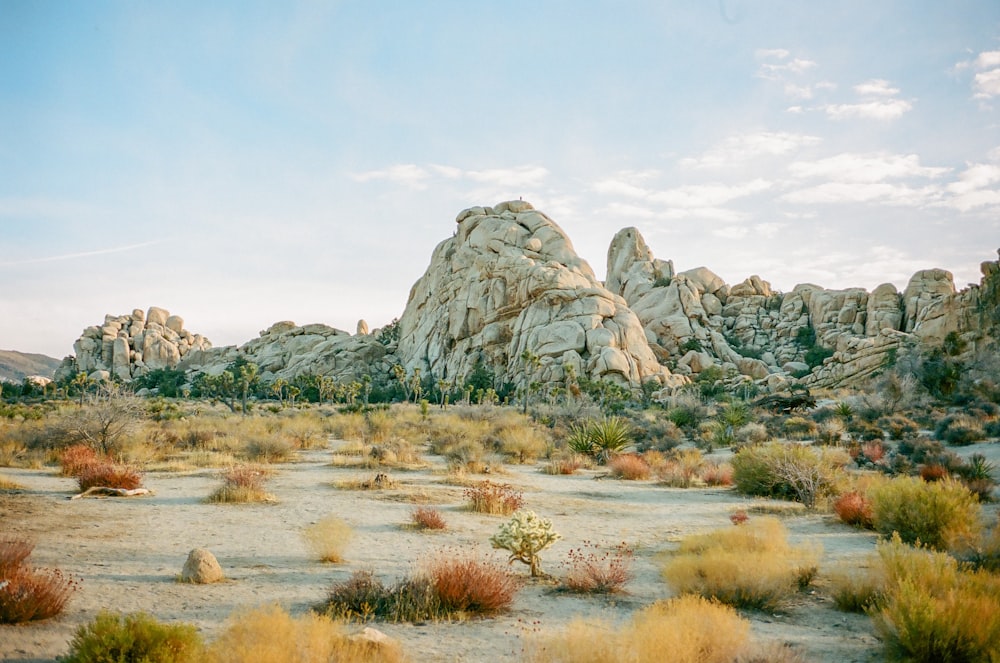 green grass field near gray rock formation under white sky during daytime