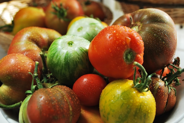Close-up of vibrant heirloom tomatoes glistening with morning dew on Mo's Family Farm.