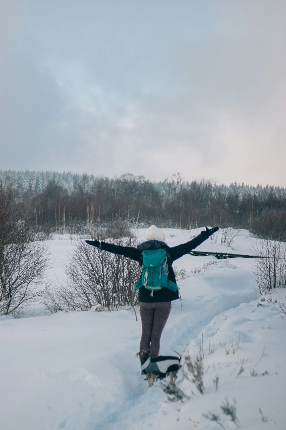 personne en veste bleue et pantalon vert debout sur un sol enneigé pendant la journée