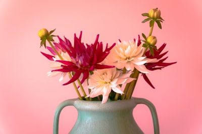 pink and white flowers in gray ceramic vase delightful teams background