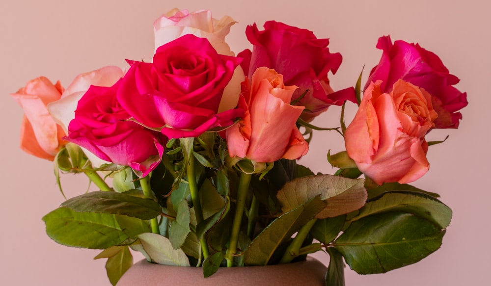 pink roses in gray vase