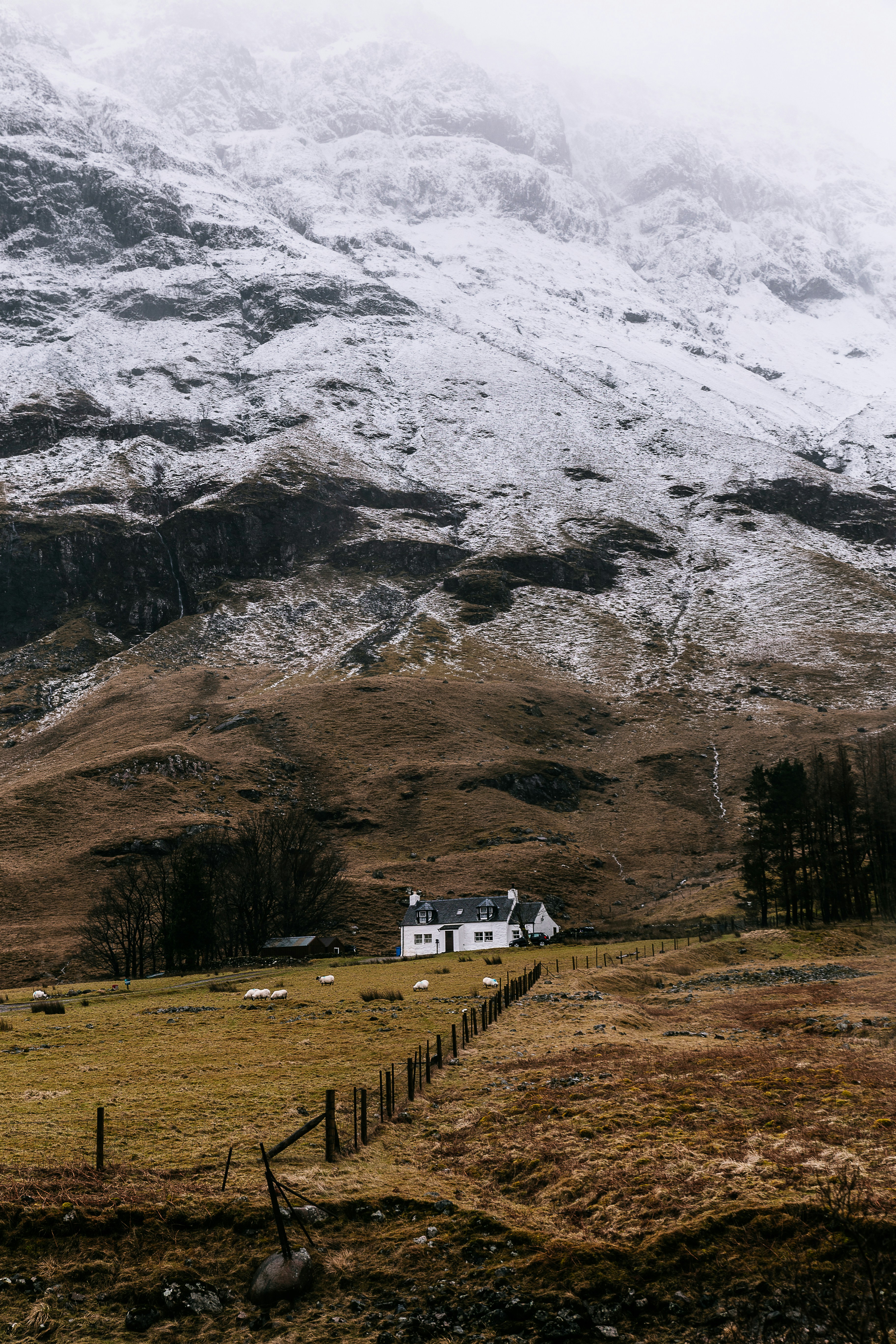 Photo by marianateodosiophoto