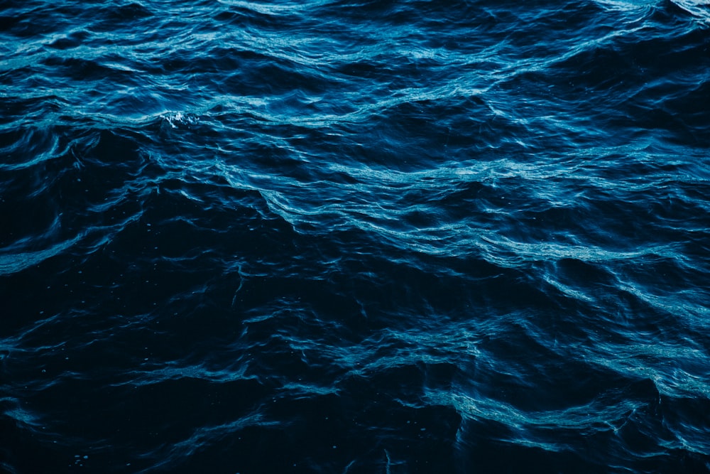 30k+ Ocean Blue Pictures | Download Free Images on Unsplash