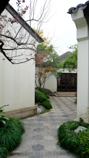 Peaceful courtyard garden pathway framed by bougainvillea and leafy trees, capturing the tranquil vibe.