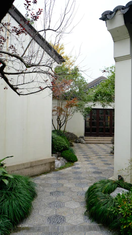 Peaceful courtyard garden pathway framed by bougainvillea and leafy trees, capturing the tranquil vibe.