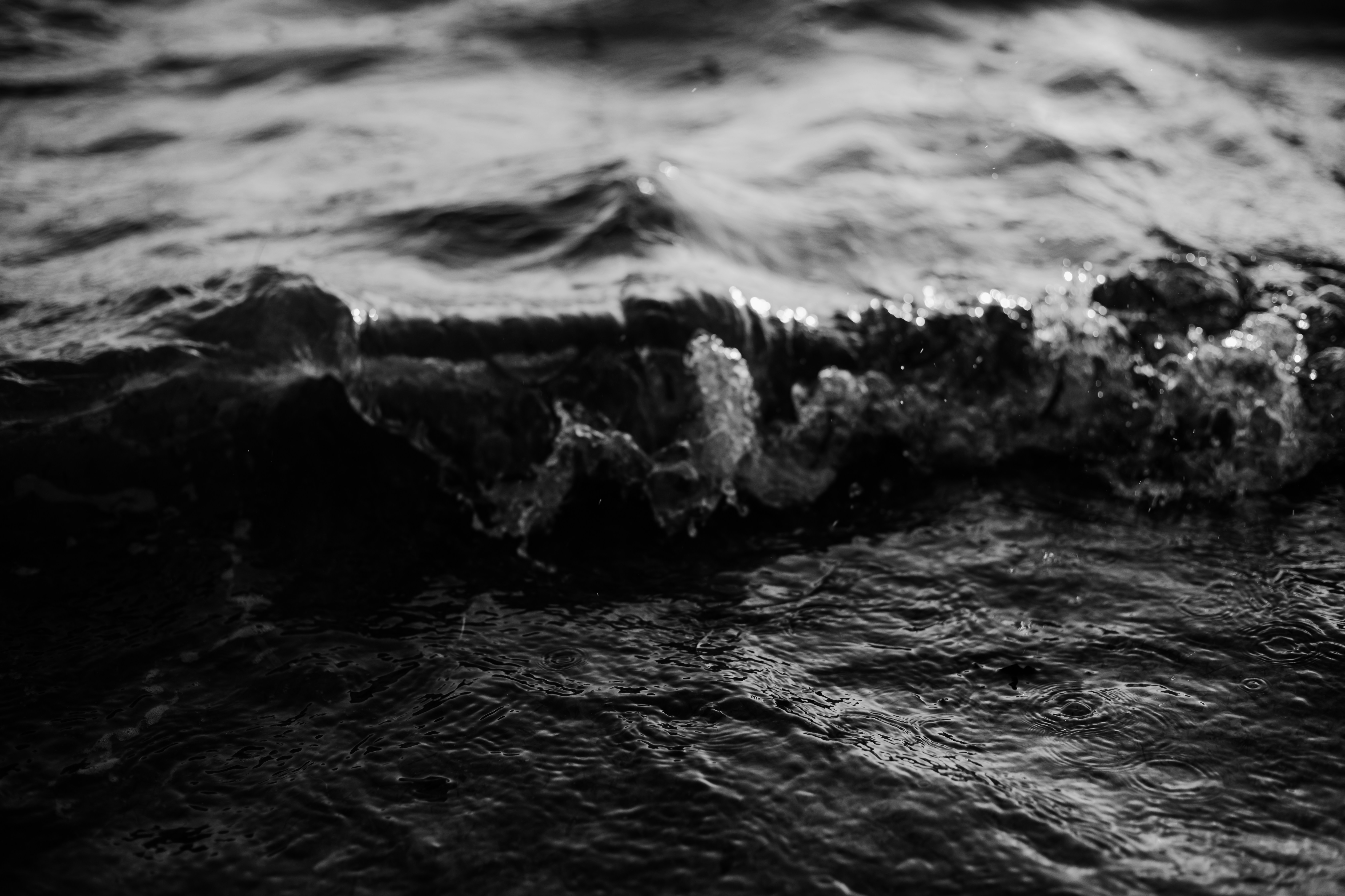 Photo by doscocoslocos