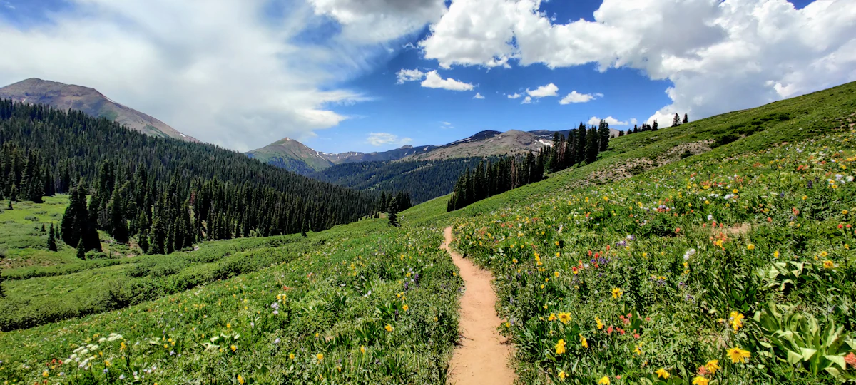 Vivid green mountain meadow with wildflowers under a bright blue sky