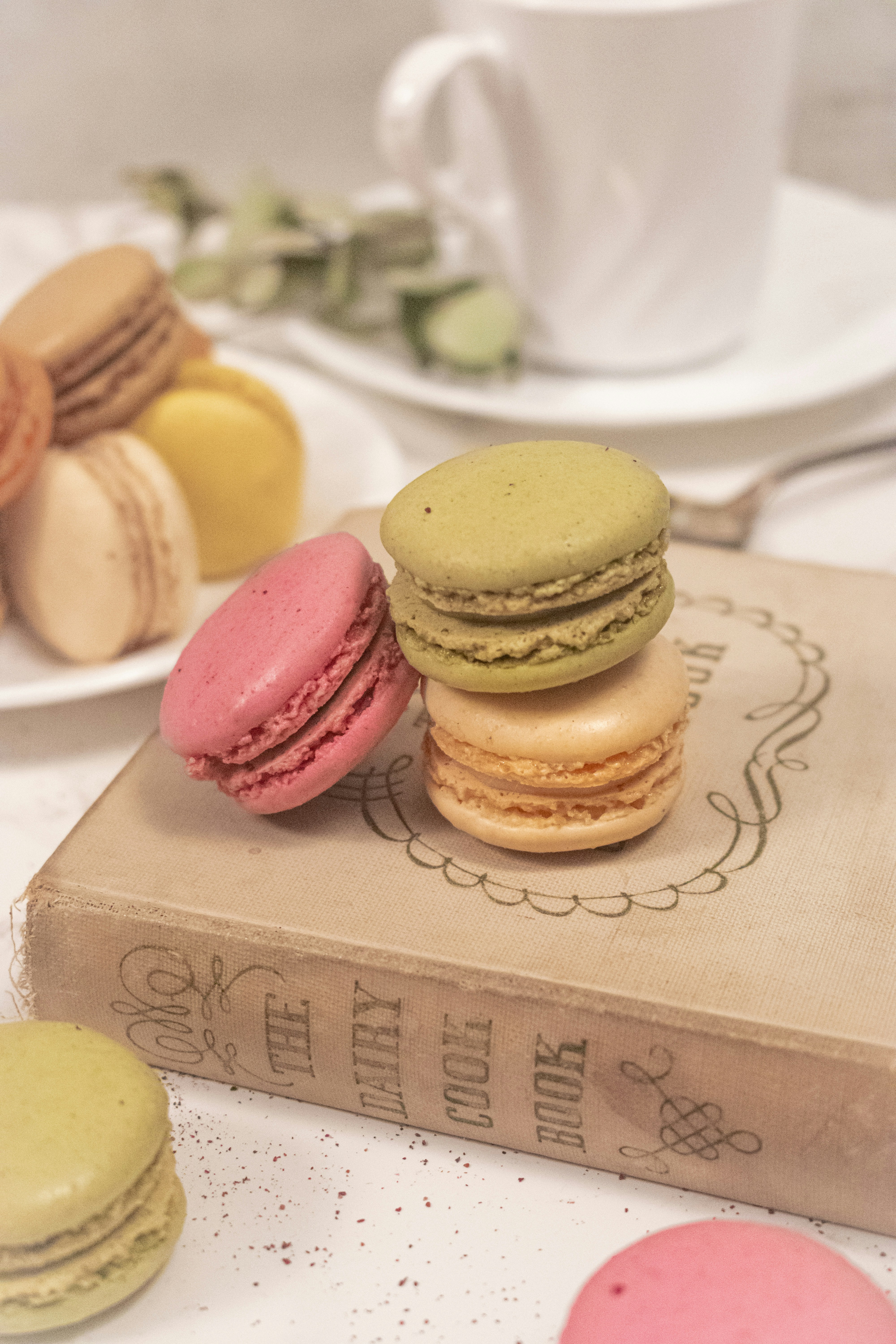 Photo by mariahhewines