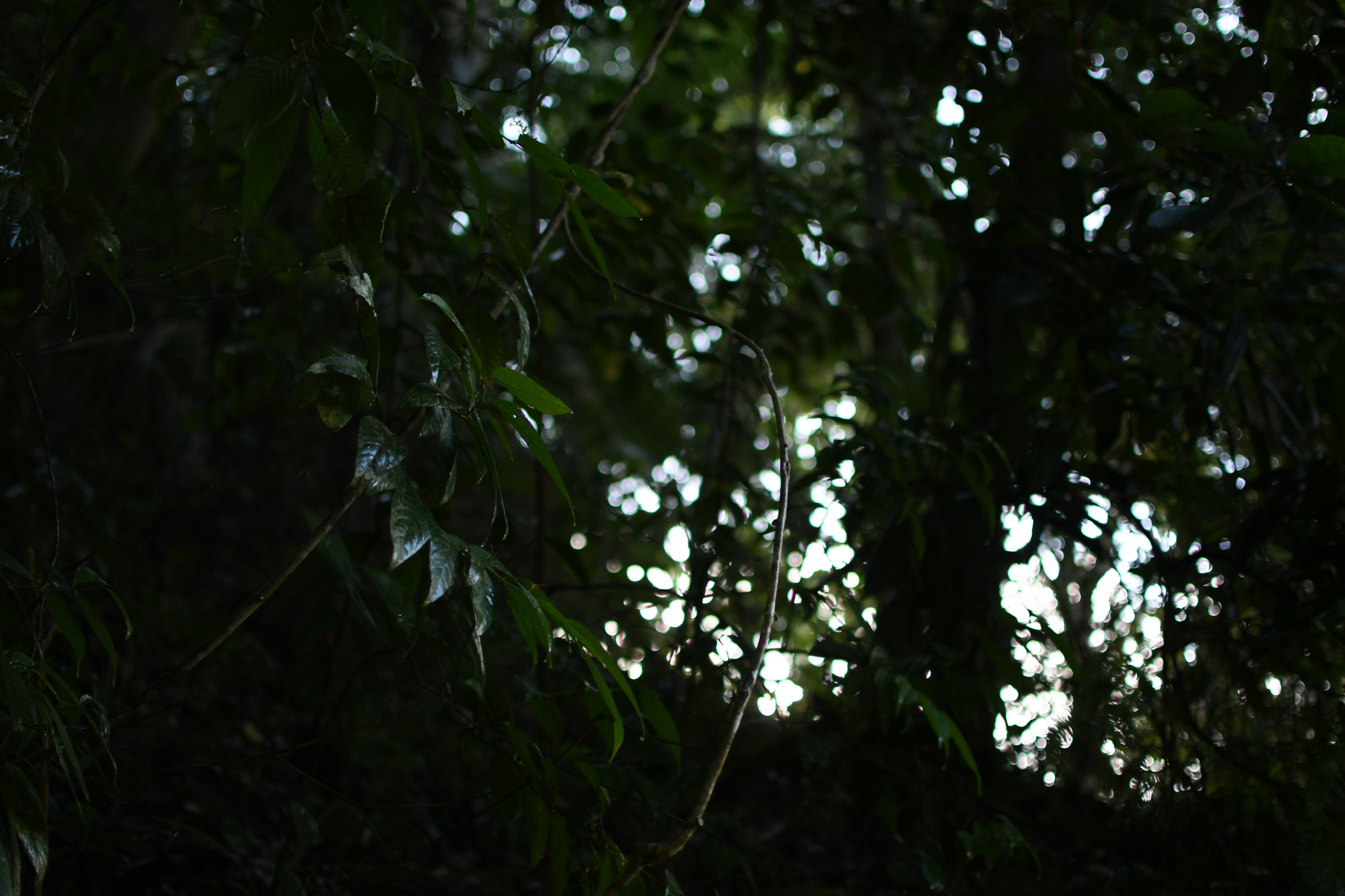 Safwan Yadiy Sfwnyadiy Unsplash Photo Community