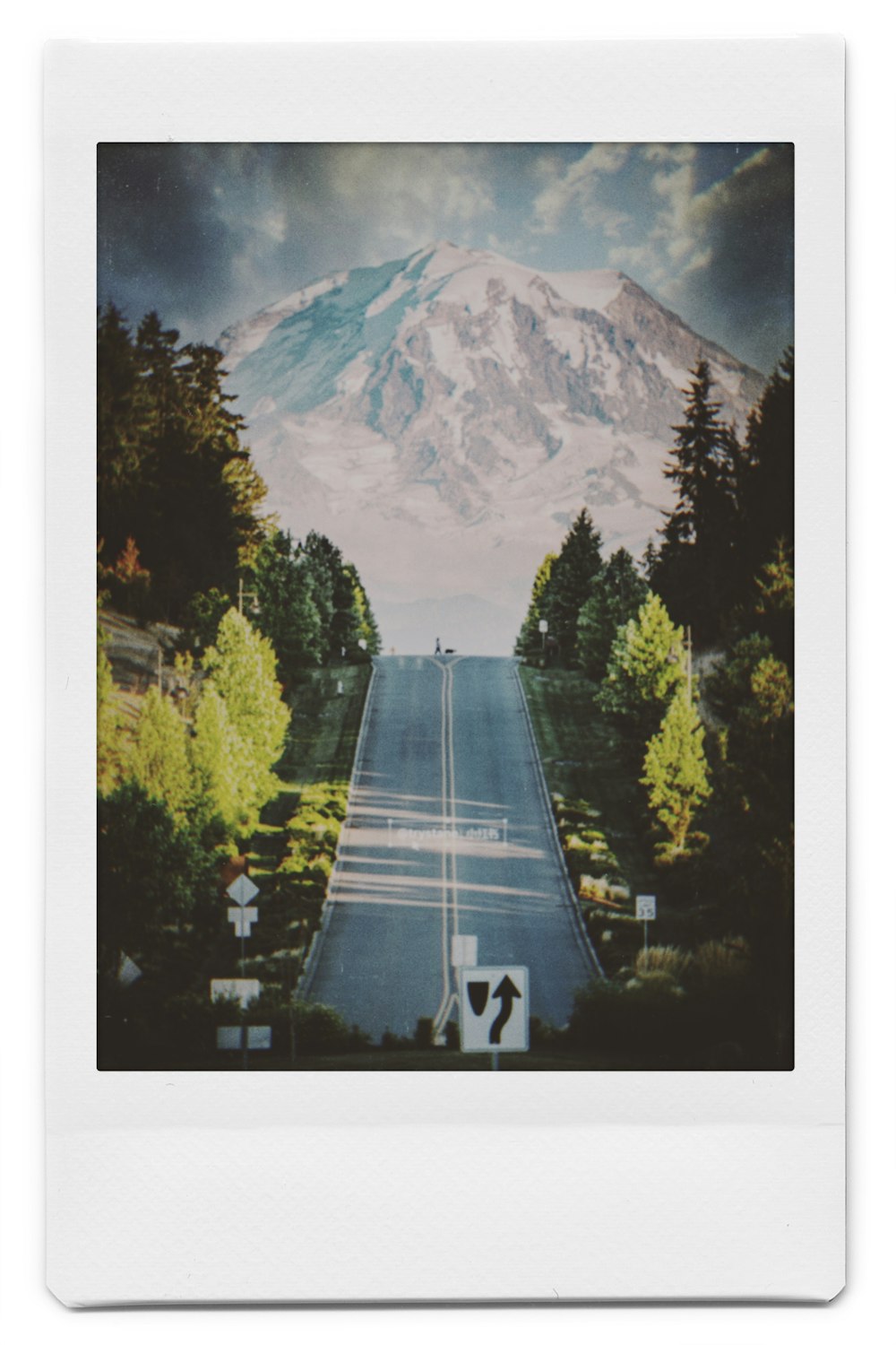 gray concrete road between green trees near mountain during daytime