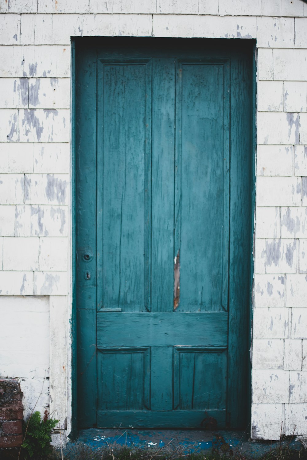 blue wooden door on white brick wall