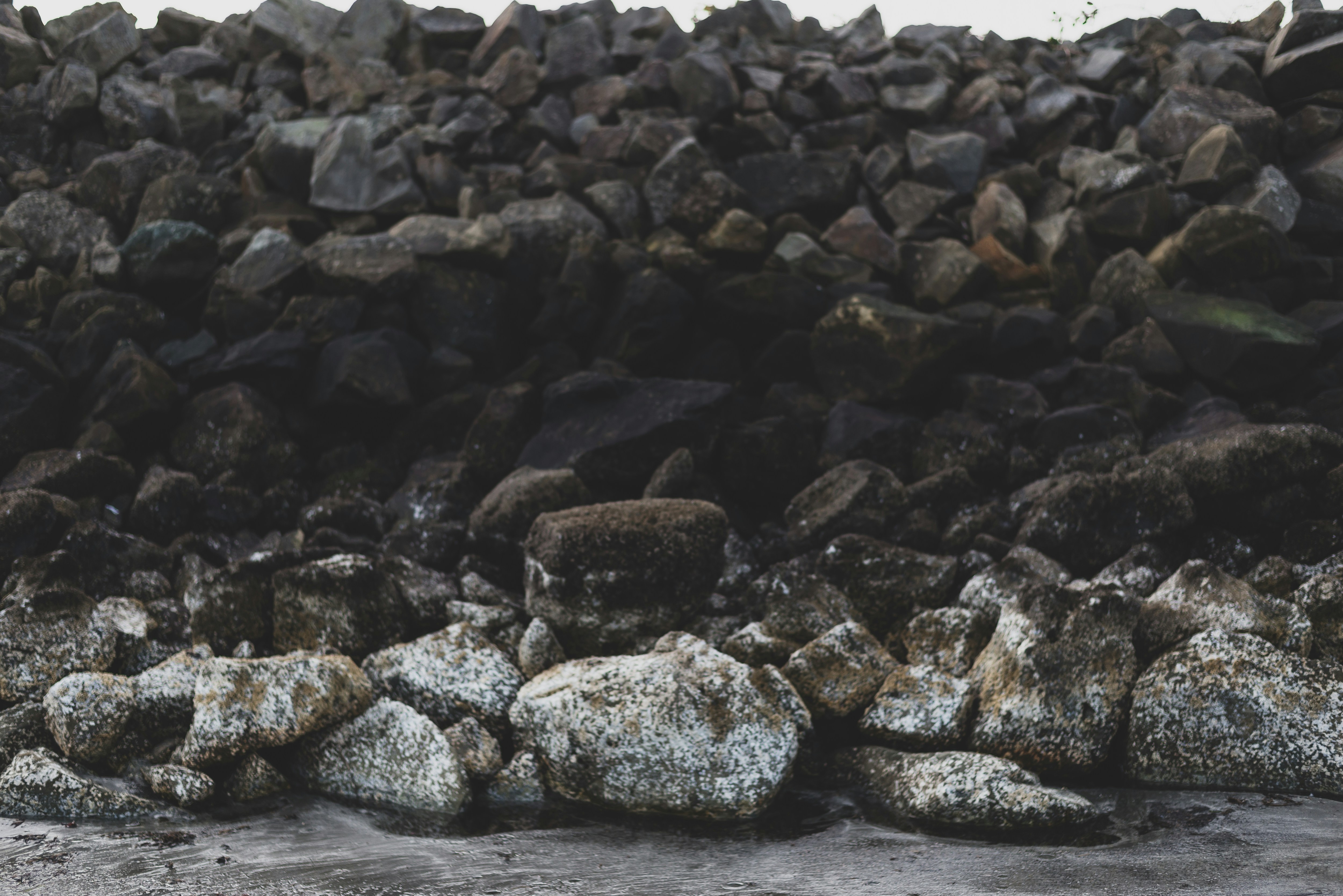 Photo by unraveledvisuals