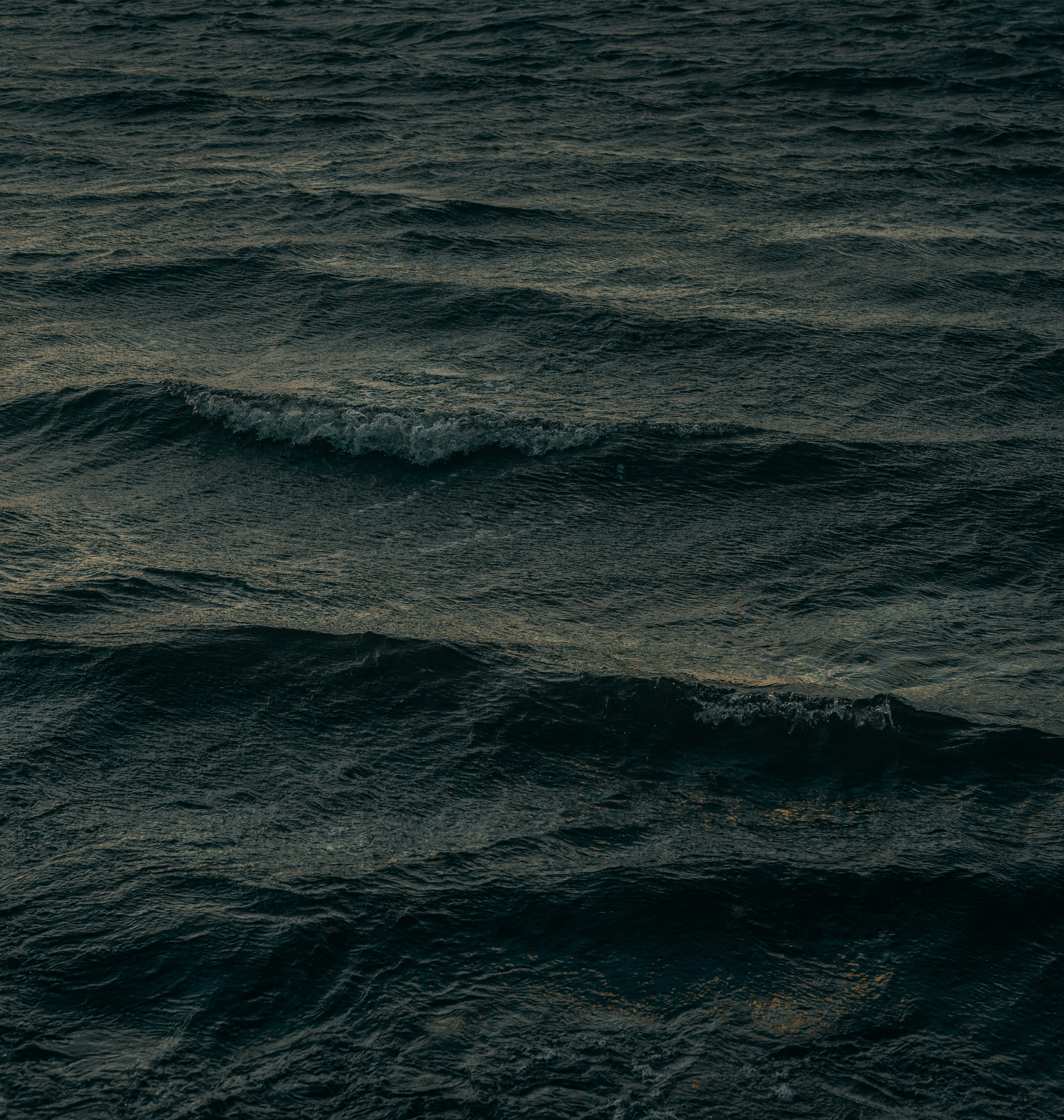 2025-03-18 - 即使我厭惡無故的想念，但永恆的歸結永恆地存在。

你的體溫和身上那股洗衣皂氣味我時常夢見。我只是納悶，人類恆溫的本質與洗衣皂何等普遍，它卻固著得如此殊異，在過期的夢裡久散不去。